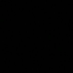 Meet your Posher, Noah